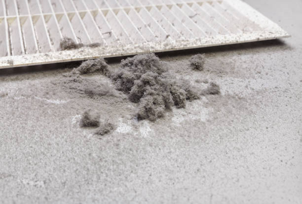 Best Affordable HVAC Duct Cleaning  in Montgomery Village, MD